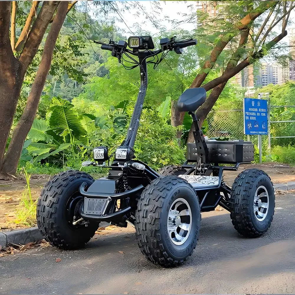 ESWING haute puissance 10000 m - 60V 50Ah Electric Scooter Battery avis et prix