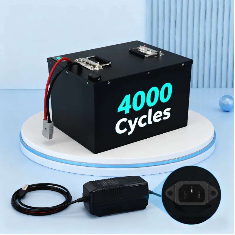 Batterie LIFEPO4 avec BMS 72V  - 72V 40Ah Lifepo4 Battery Pack avis et prix
