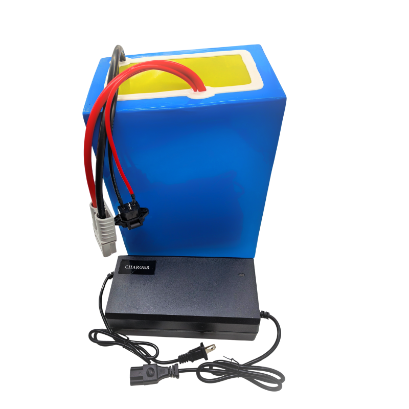 Batterie Li-ion 72V 100Ah avec - 72V 40Ah Lifepo4 Battery Pack avis et prix